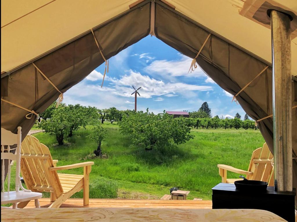Tentrr Signature - Hidden Acres Orchards - image 3