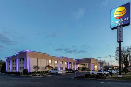 Comfort Inn Medford-Long Island - image 8