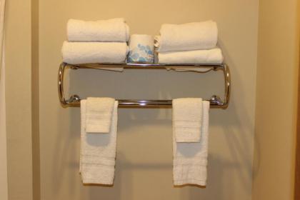 Woodland Inn & Suites - image 13