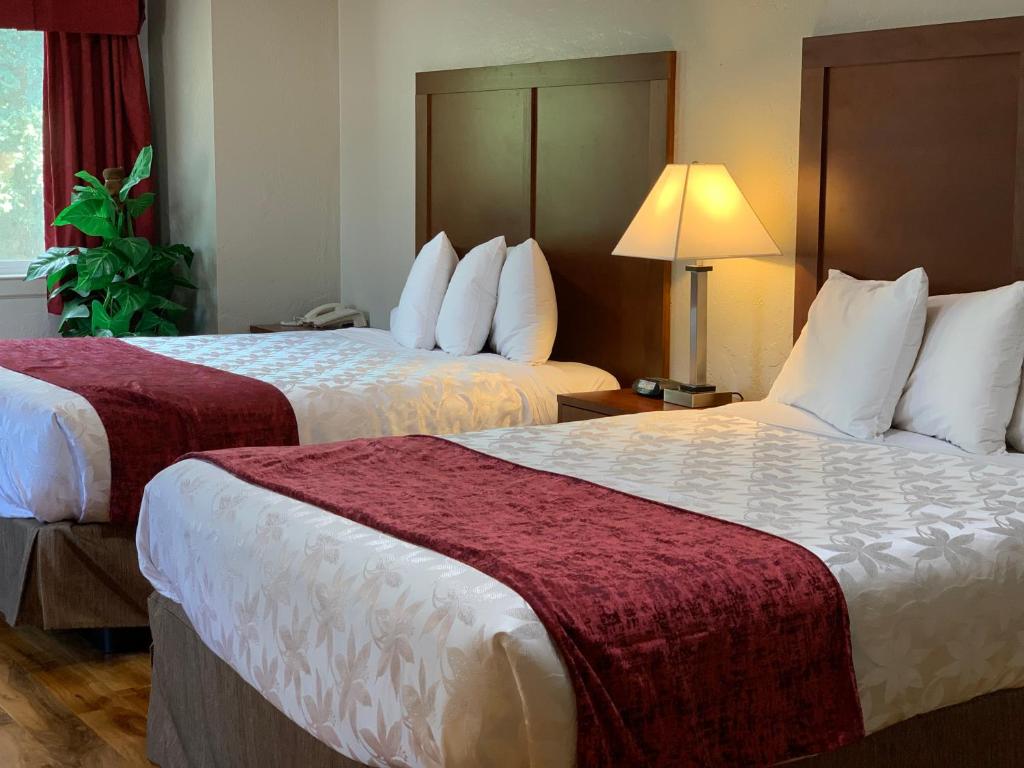 Red Carpet Inn Medford - main image
