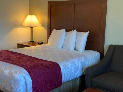 Red Carpet Inn Medford - image 15