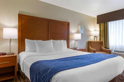 Comfort Inn South-Medford - image 12