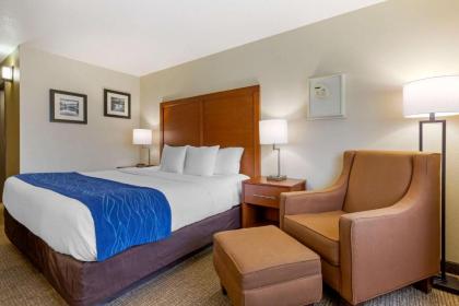 Comfort Inn South-Medford - image 13
