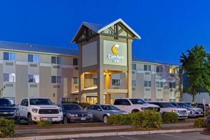 Comfort Inn South-Medford - image 8
