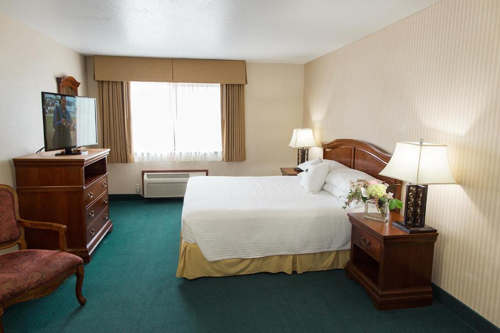 Rogue Regency Inn & Suites - image 3