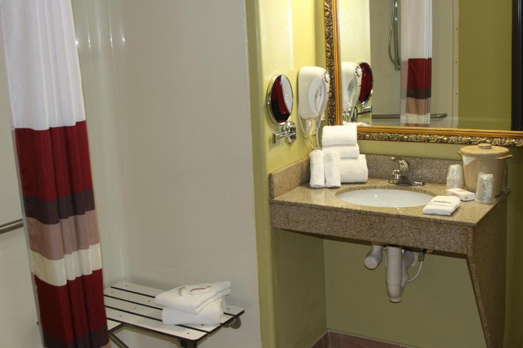 Red Roof Inn & Suites Detroit - Melvindale/Dearborn - image 4