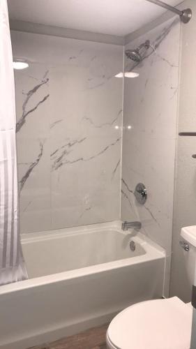 Budgetel Inn & Suites Memphis - image 5
