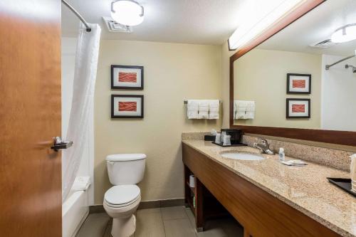 Comfort Inn & Suites Airport-American Way Memphis - image 2