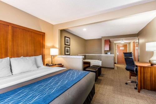 Comfort Inn & Suites Airport-American Way Memphis - image 5