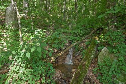 Charming Tree House Cottage on Lookout Mountain! - image 8