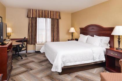 Hampton Inn & Suites Boise-Meridian - image 21