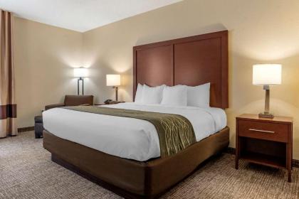 Comfort Inn Meridian - image 7