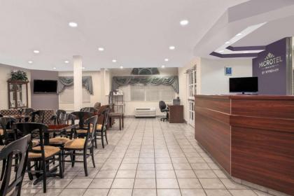 Microtel Inn & Suites - Meridian - image 13