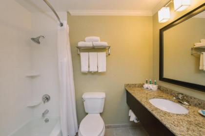 Holiday Inn Express and Suites Merrimack an IHG Hotel - image 9