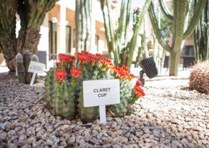 Courtyard by Marriott Phoenix Mesa - image 1