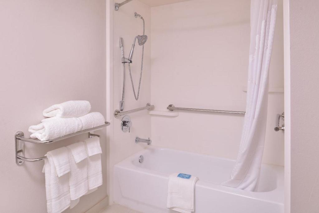 Holiday Inn Express Hotel and Suites Mesquite an IHG Hotel - image 4