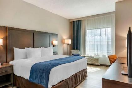 Comfort Inn & Suites Miami International Airport