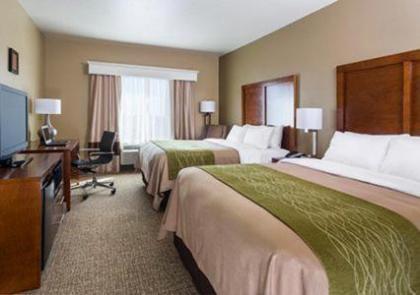 Comfort Inn Midland South I-20 - image 3