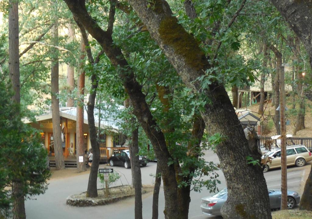 Yosemite Bug Rustic Mountain Resort - main image