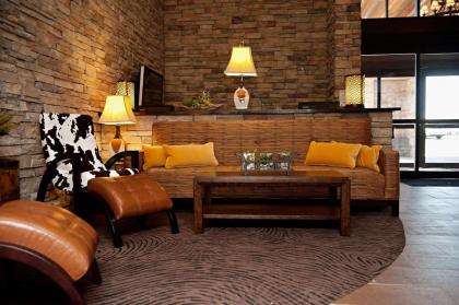Park Inn by Radisson Salt Lake City -Midvale - image 6
