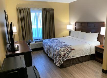 Red Roof Inn & Suites Mifflinville - image 15