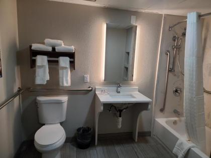 Comfort Inn - image 9