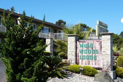 muir Woods Lodge mill Valley California