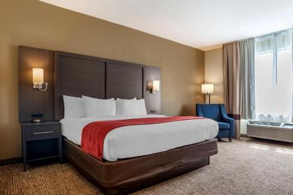 Comfort Inn & Suites Millbrook - Pratville - image 12