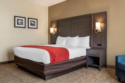 Comfort Inn & Suites Millbrook - Pratville - image 14