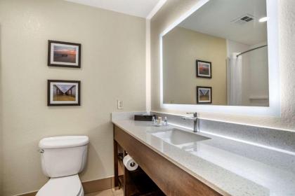 Comfort Inn & Suites Millbrook - Pratville - image 9
