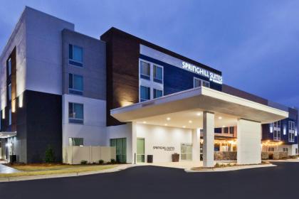 SpringHill Suites by Marriott Montgomery Prattville/Millbrook - image 14