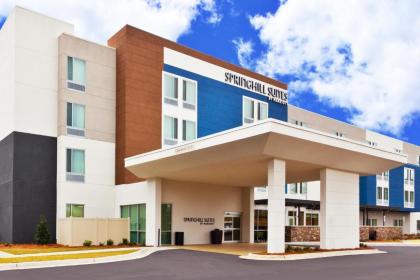 SpringHill Suites by Marriott Montgomery Prattville/Millbrook - image 15