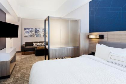 SpringHill Suites by Marriott Montgomery Prattville/Millbrook - image 8