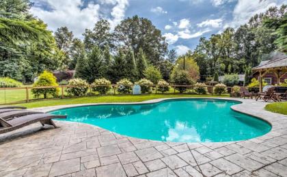 Mountain Laurel Oasis - image 1
