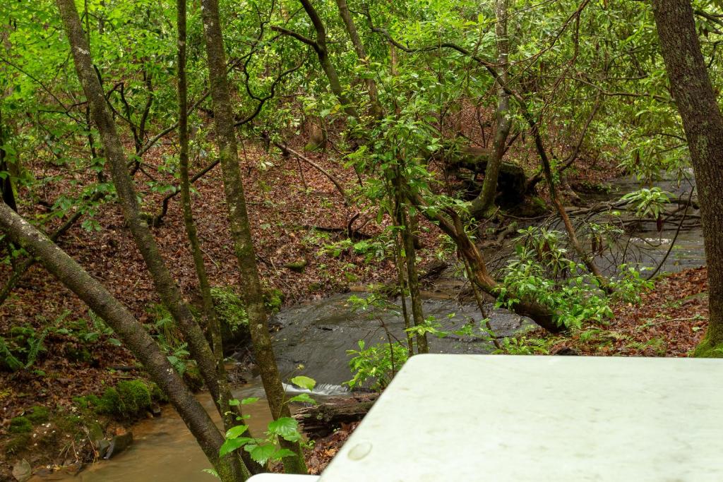 Laurel Creek - image 3