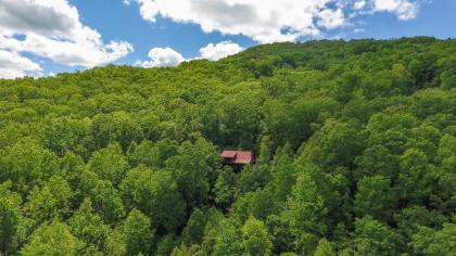 CABIN TIME - When you need to relax and unwind a visit to Cabin Time is what you need! - image 4