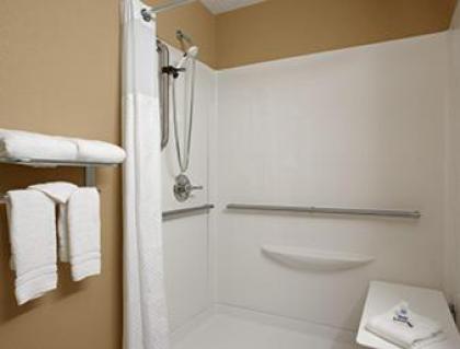 Microtel Inn & Suites By Wyndham Mineral Wells/Parkersburg - image 12