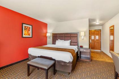 Comfort Inn & Suites - image 14