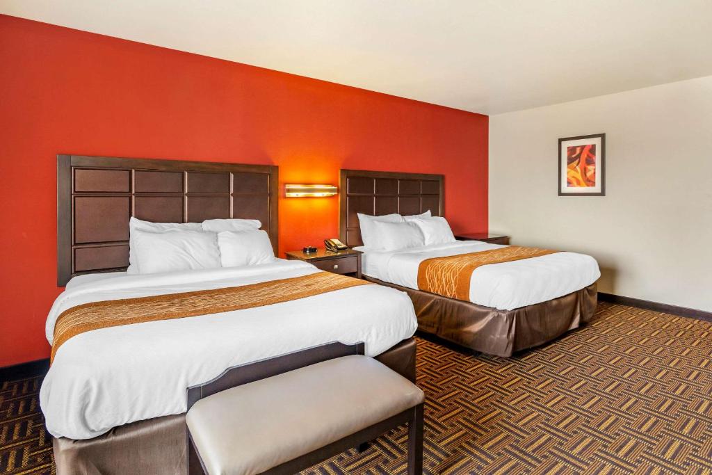 Comfort Inn & Suites - image 6