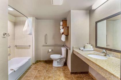 Comfort Inn & Suites - image 7