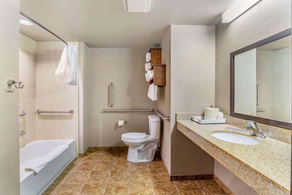 Comfort Inn & Suites - image 7