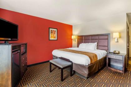 Comfort Inn & Suites - image 9