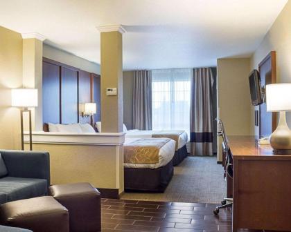 Comfort Suites Minot - image 14