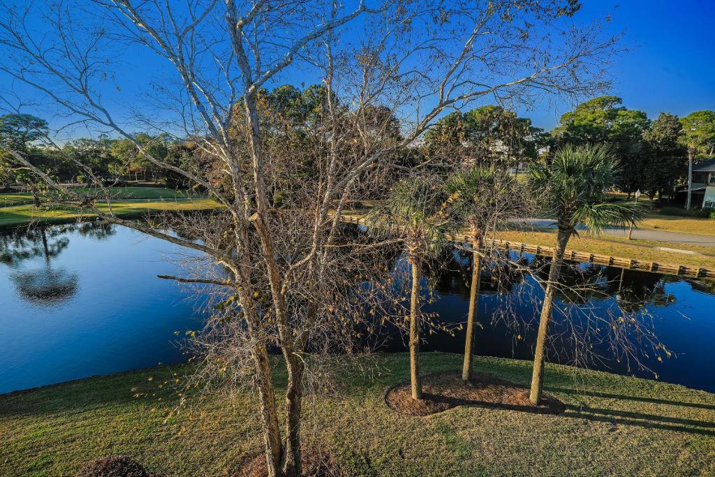 Turnberry 8504 - image 5