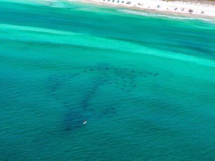 Ariel Dunes II 801 by RealJoy Vacations - image 5