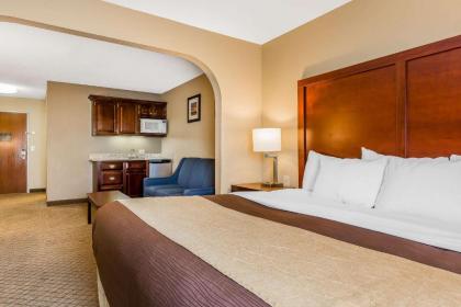 Comfort Inn & Suites Mishawaka-South Bend - image 11