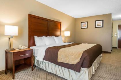 Comfort Inn & Suites Mishawaka-South Bend - image 15