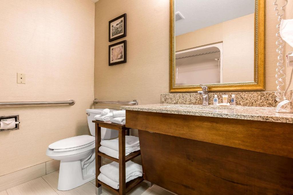 Comfort Inn & Suites Mishawaka-South Bend - image 2
