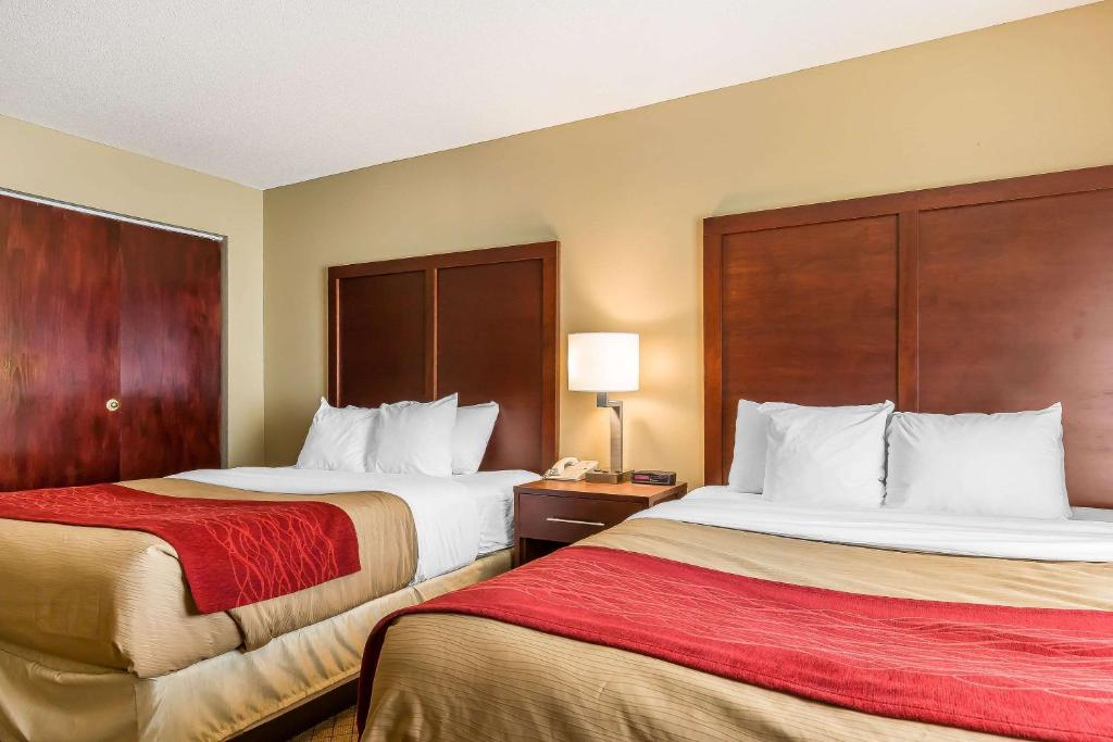Comfort Inn & Suites Mishawaka-South Bend - image 4
