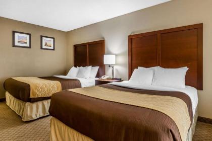 Comfort Inn & Suites Mishawaka-South Bend - image 6